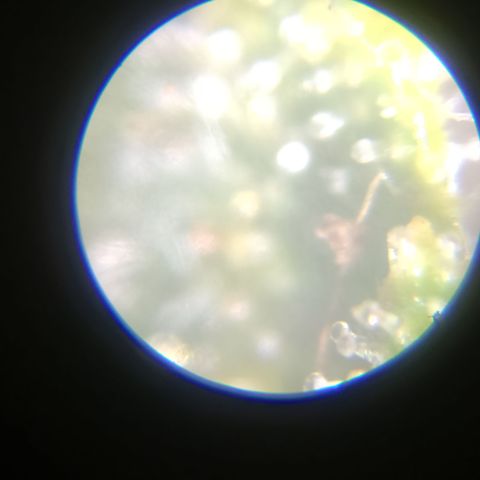 Elle growlog timeline photo