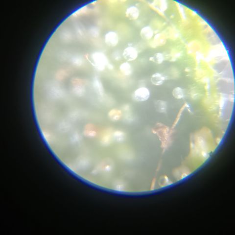 Elle growlog timeline photo
