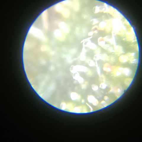 Elle growlog timeline photo