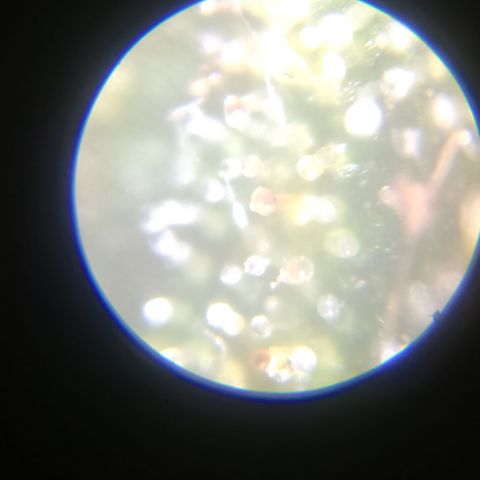 Elle growlog timeline photo