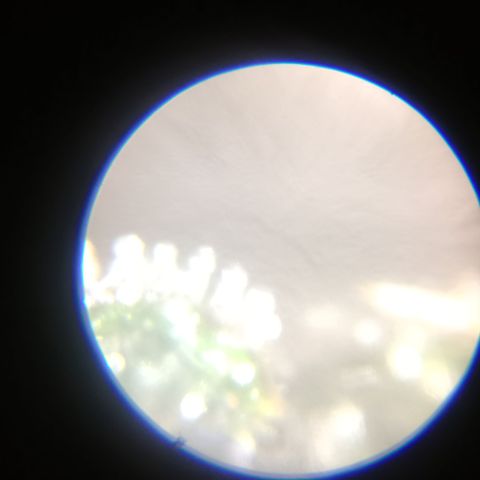 Ana  growlog timeline photo
