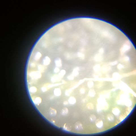 Elle growlog timeline photo