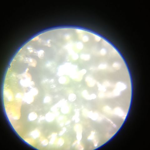 Elle growlog timeline photo
