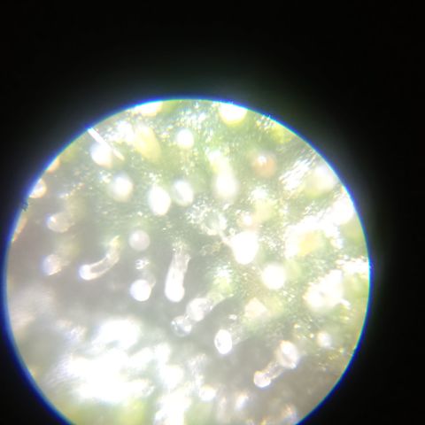 Elle growlog timeline photo