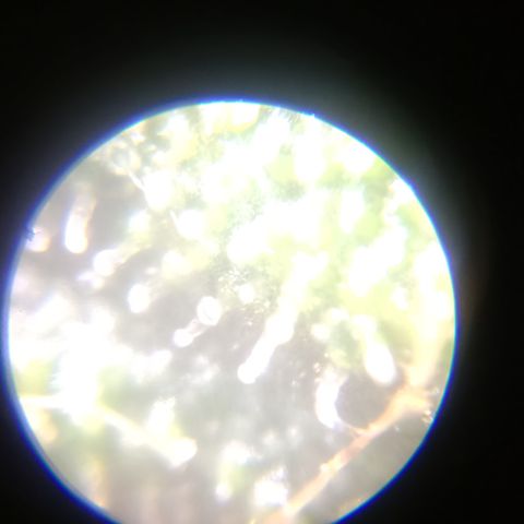 Elle growlog timeline photo