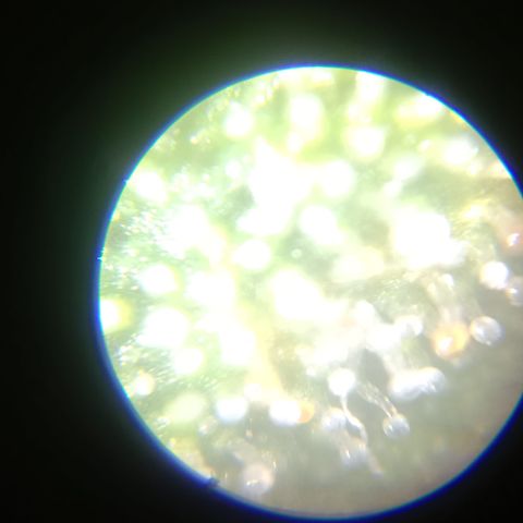 Elle growlog timeline photo