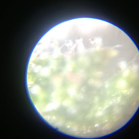 Elle growlog timeline photo