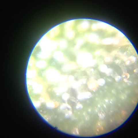 Elle growlog timeline photo