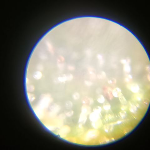 Elle growlog timeline photo