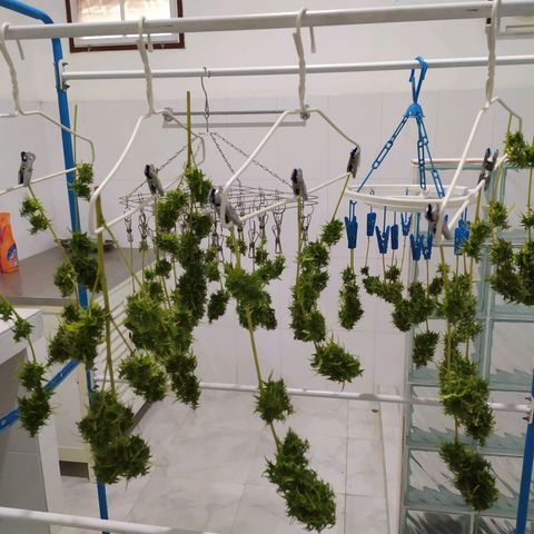 Fuck u man growlog timeline photo