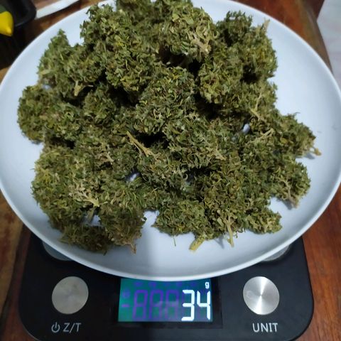 Fuck u man growlog timeline photo