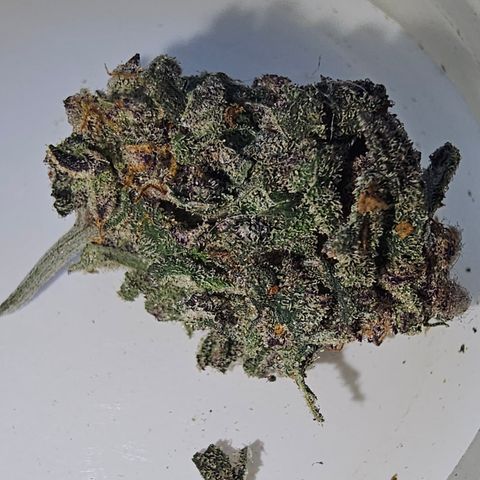 Ice Cream Cake (I1) growlog timeline photo