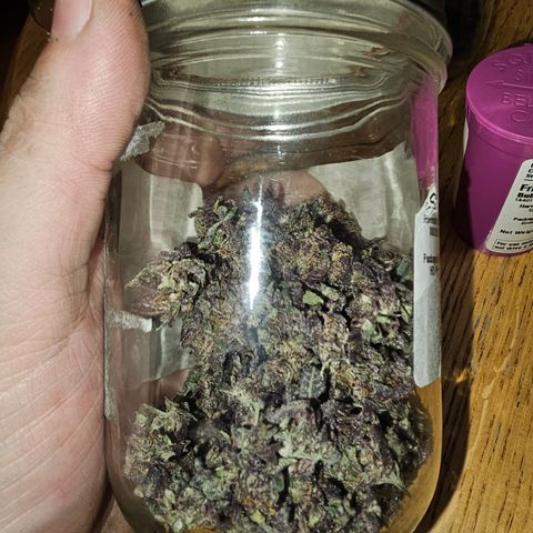 Ice Cream Cake (I1) growlog photo: 14 grams