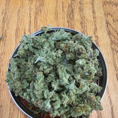 Amnesia Haze #2 (I2) growlog timeline photo