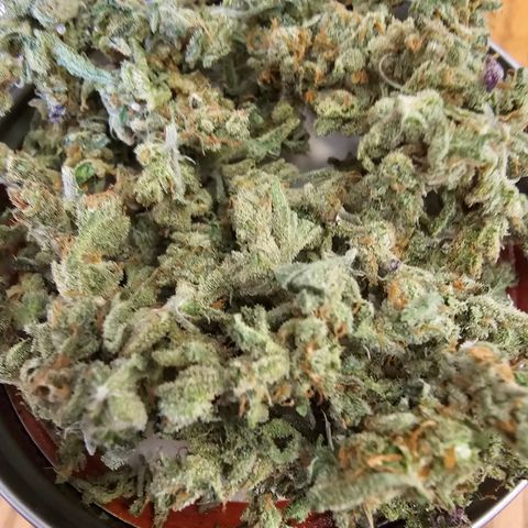 Amnesia Haze #2 (I2) growlog timeline photo