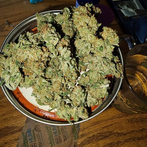 Collie Man Kush #2 (I2) growlog timeline photo
