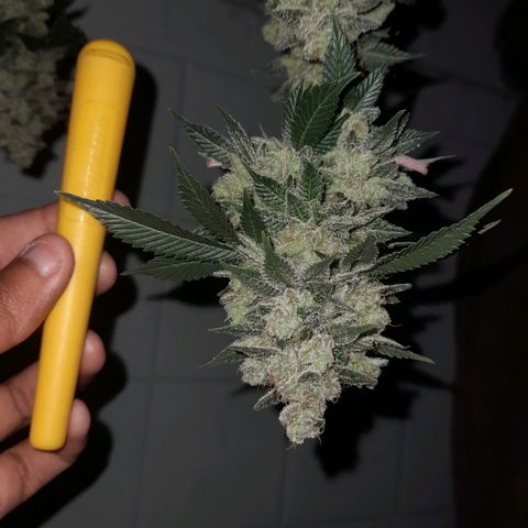 kaya growlog photo: obrigada por tudo minha amiga
