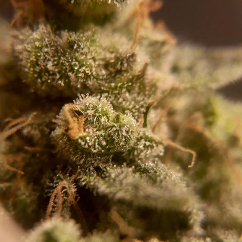 kaya growlog photo: obrigada por tudo minha amiga