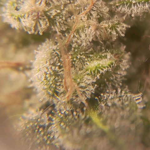 kaya growlog photo: obrigada por tudo minha amiga