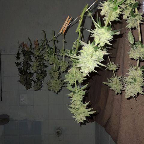 kaya growlog photo: obrigada por tudo minha amiga