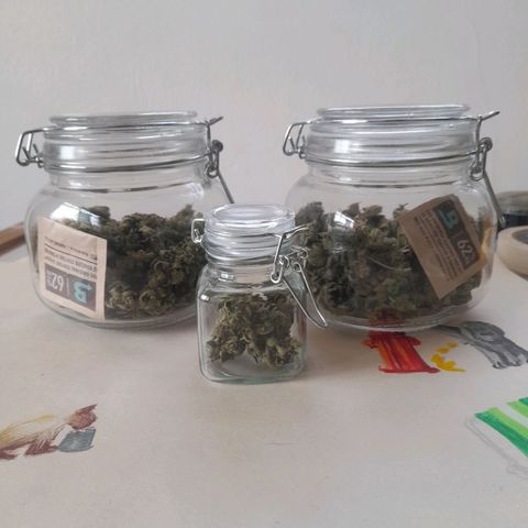 kaya growlog timeline photo