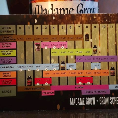 Special Queen #1 growlog timeline photo
