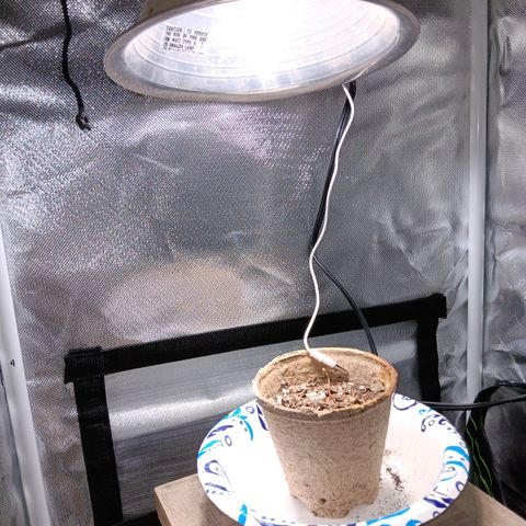 LA growlog photo: 9" light spacing