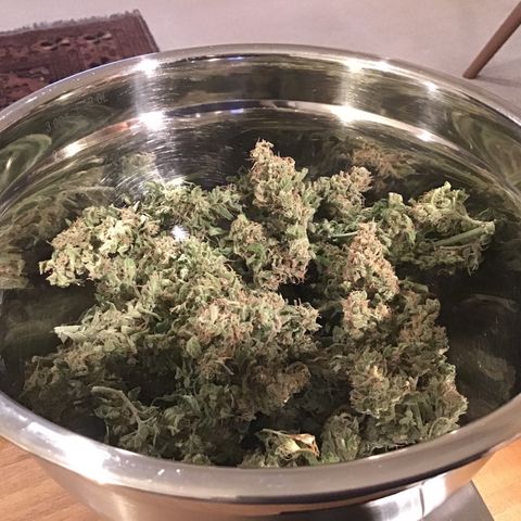 Purple Chill Auto 2022 growlog timeline photo