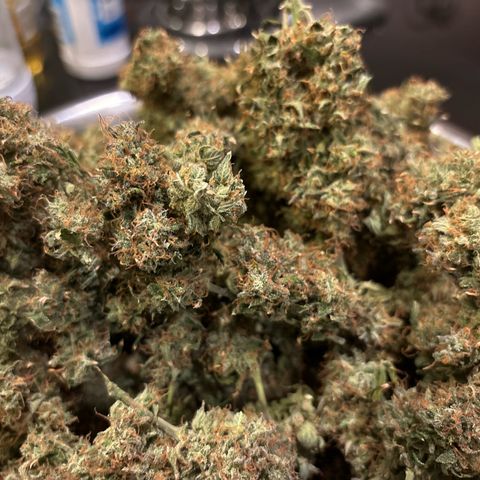 Ape Fruit Auto growlog timeline photo