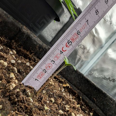 Bruce growlog timeline photo