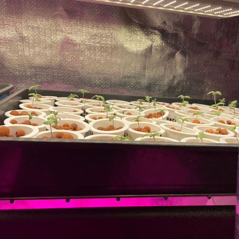 Cbg  growlog timeline photo