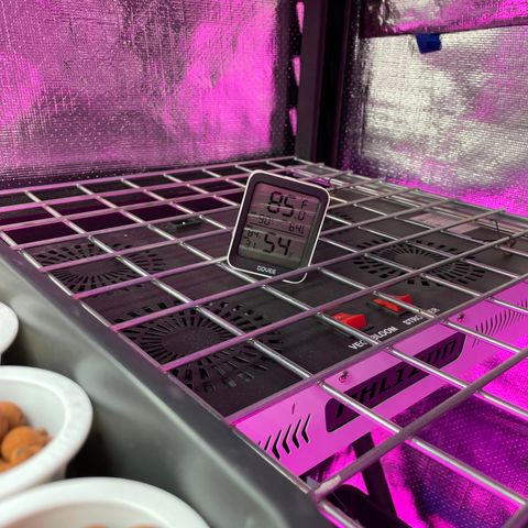 Cbg  growlog timeline photo