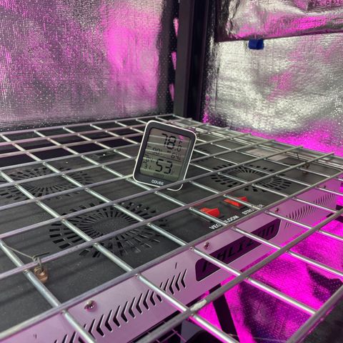 Cbg  growlog timeline photo