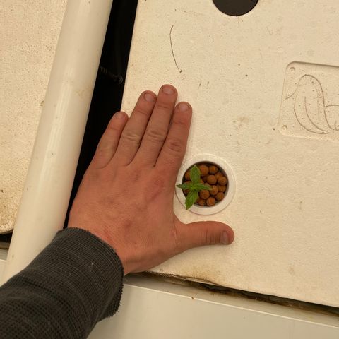 Cbg  growlog timeline photo