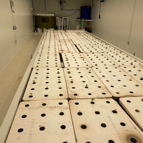 Cbg  growlog timeline photo