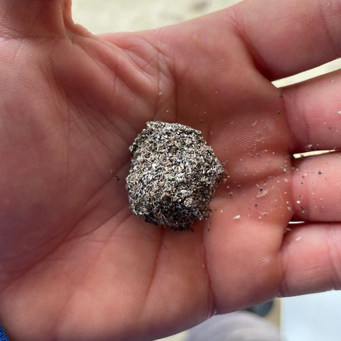Cbg  growlog photo: Barrel bags build up calcium rock 