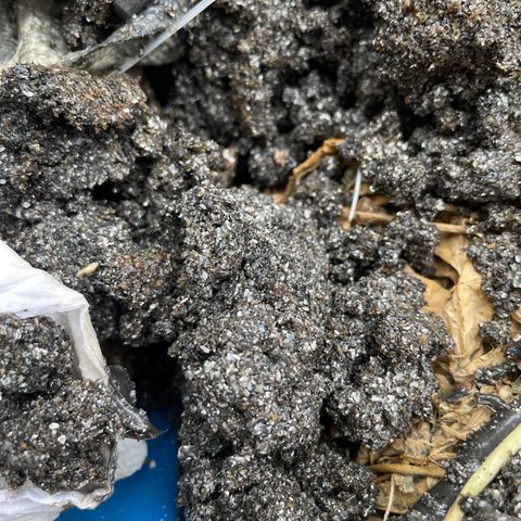 Cbg  growlog photo: In the nes barrel bags looks like calcium flower flushing threw system  and something else smells god awful anerobic cleaned sick good to go 