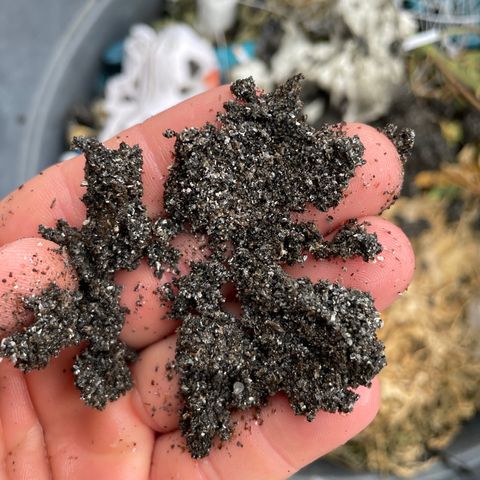Cbg  growlog photo: In the nes barrel bags looks like calcium flower flushing threw system  and something else smells god awful anerobic cleaned sick good to go 