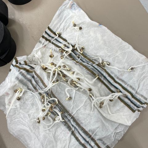 White cbg  growlog timeline photo