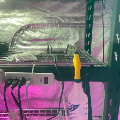 White cbg  growlog timeline photo
