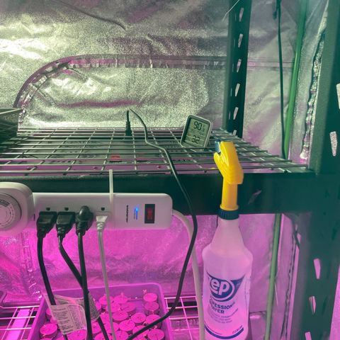White cbg  growlog timeline photo