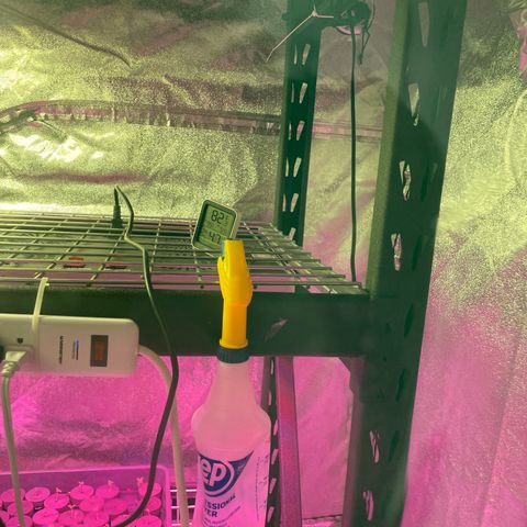 White cbg  growlog timeline photo