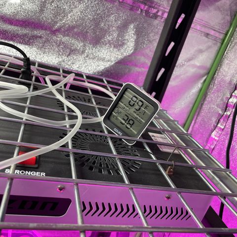 White cbg  growlog timeline photo