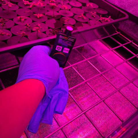 White cbg  growlog timeline photo