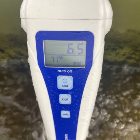 White cbg  growlog timeline photo