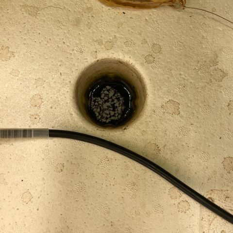 Lifter  growlog photo: What ever crust that’s been on top of water in the hole just a photograph of what I been noticing 