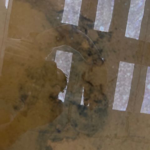 White cbg  growlog photo: Cleaning this out of the beds black ash mixed in with the water sludge 