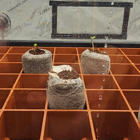 AB x PR growlog timeline photo