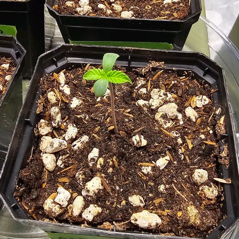 AB x PR growlog timeline photo