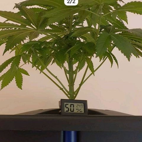 K&C growlog timeline photo